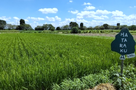 HATARAKU LAB. 事業紹介3